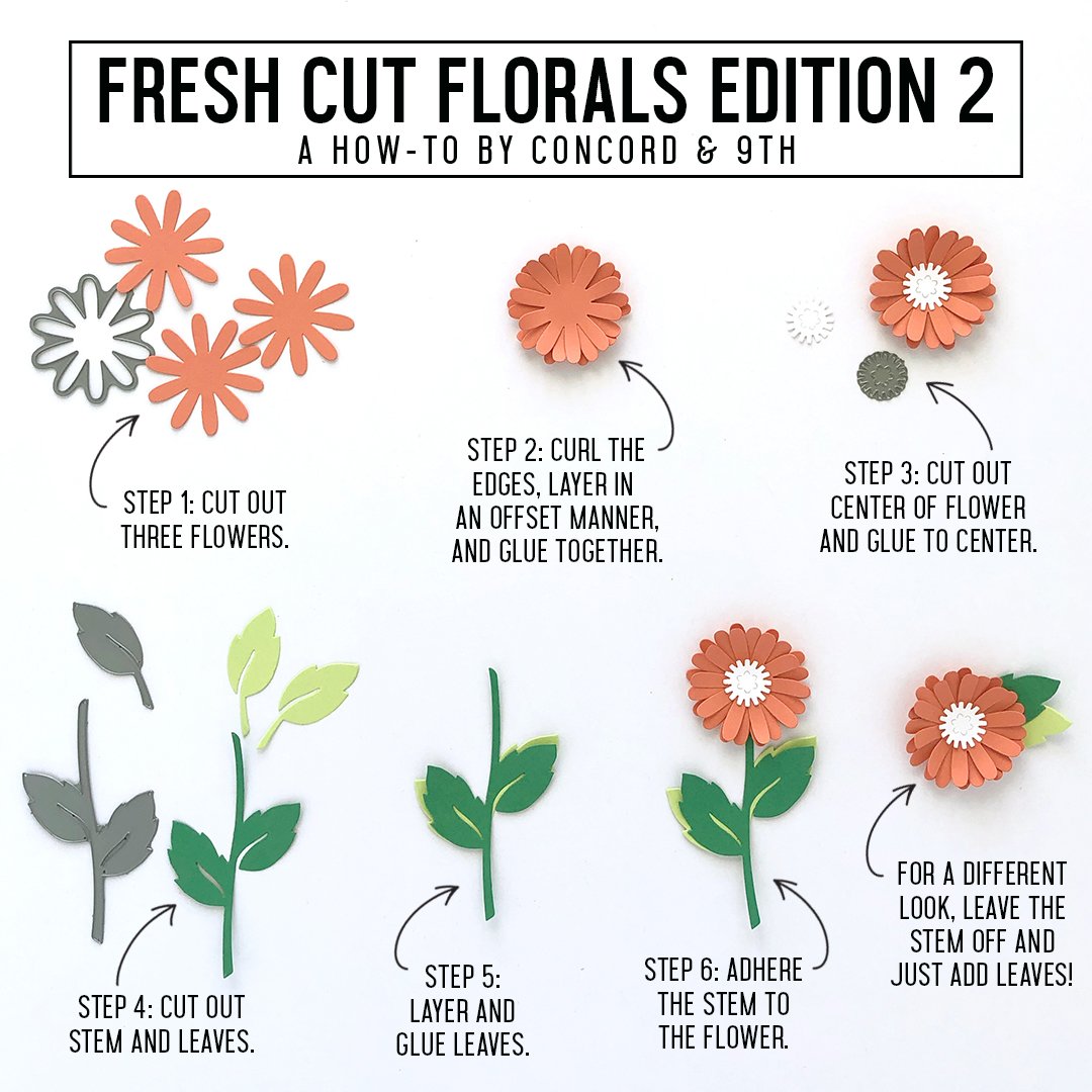 Fresh Cut Florals Dies Editions 2