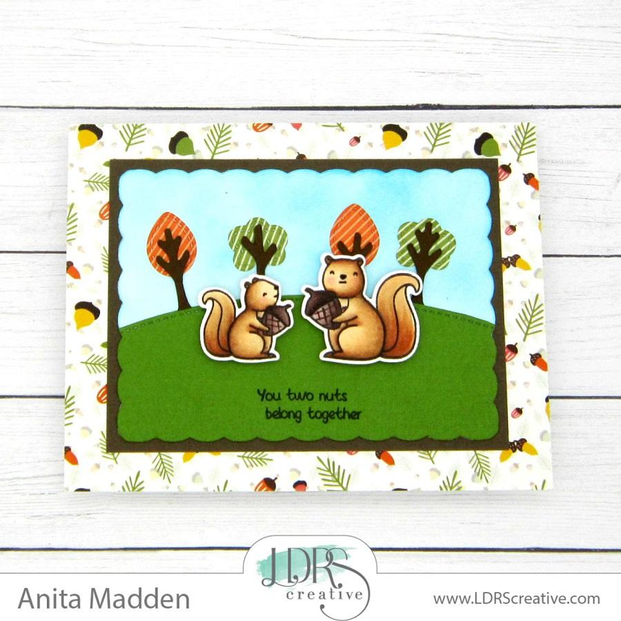 Woodland Wonderland Woodland Wonderland