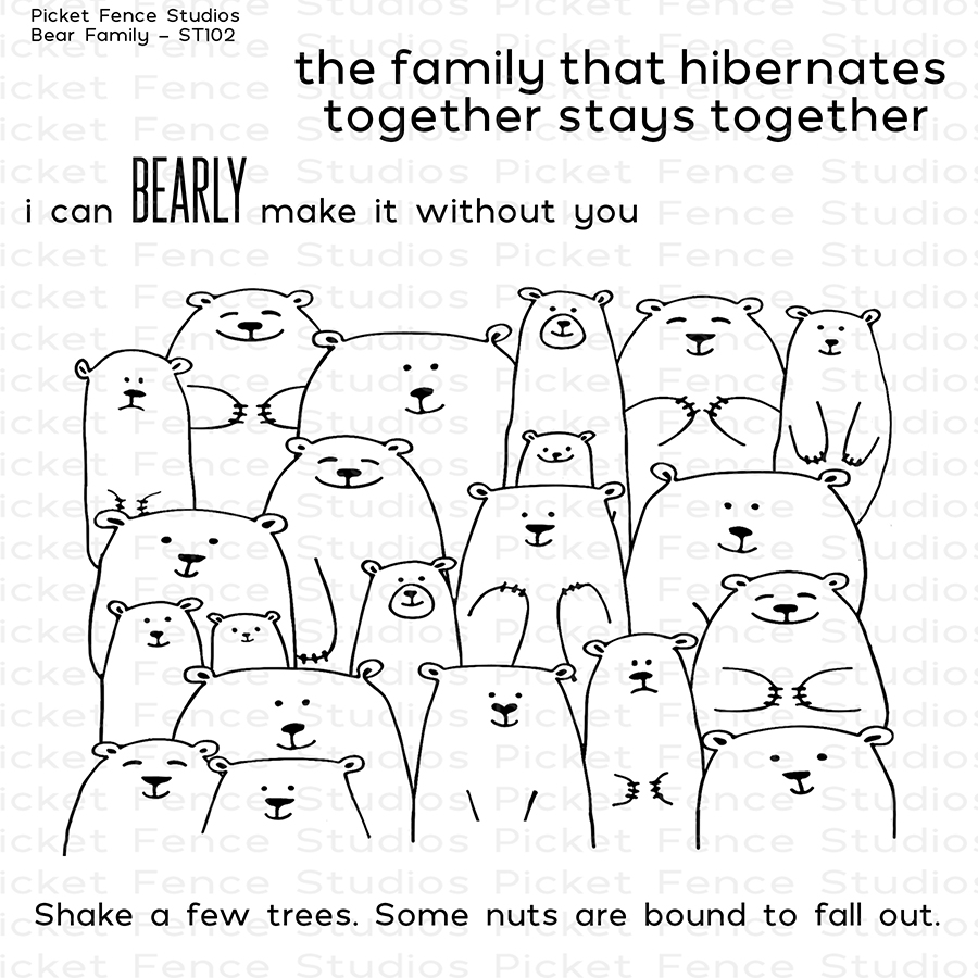 Bear Family Bear Family