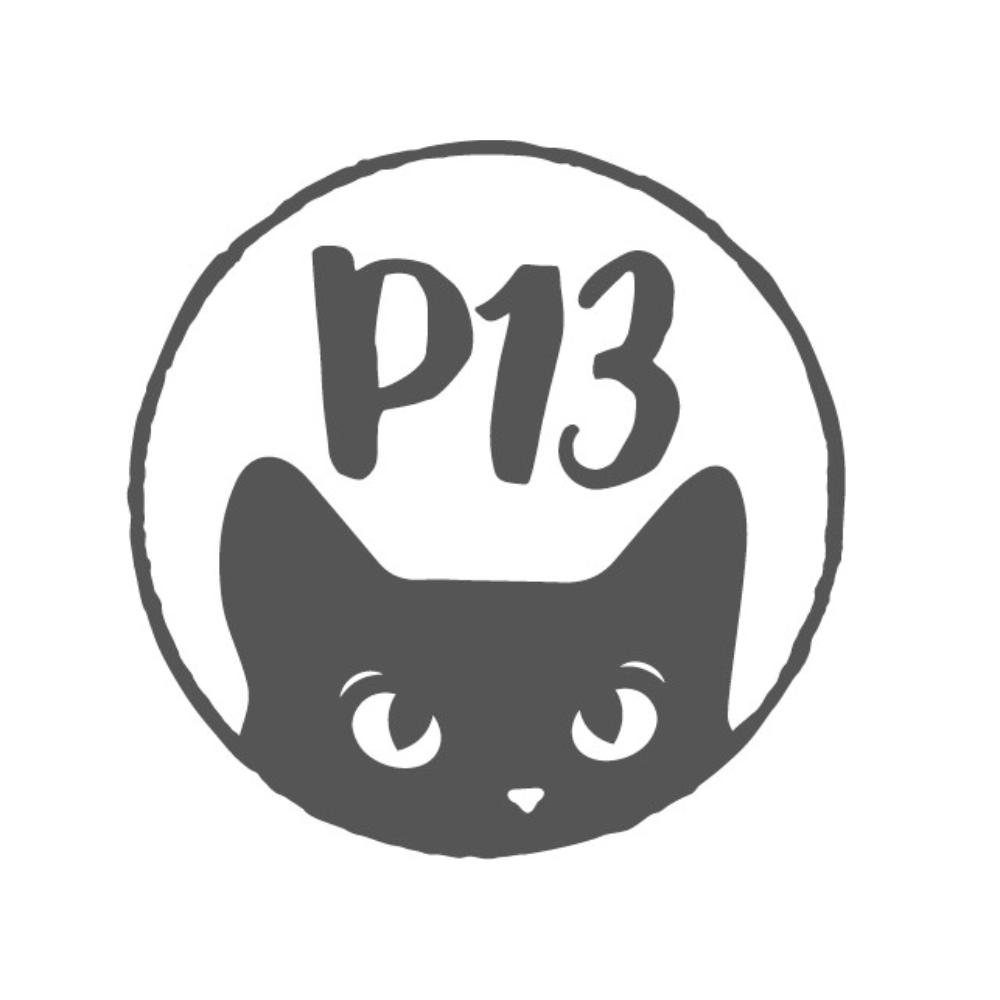 P13 P13