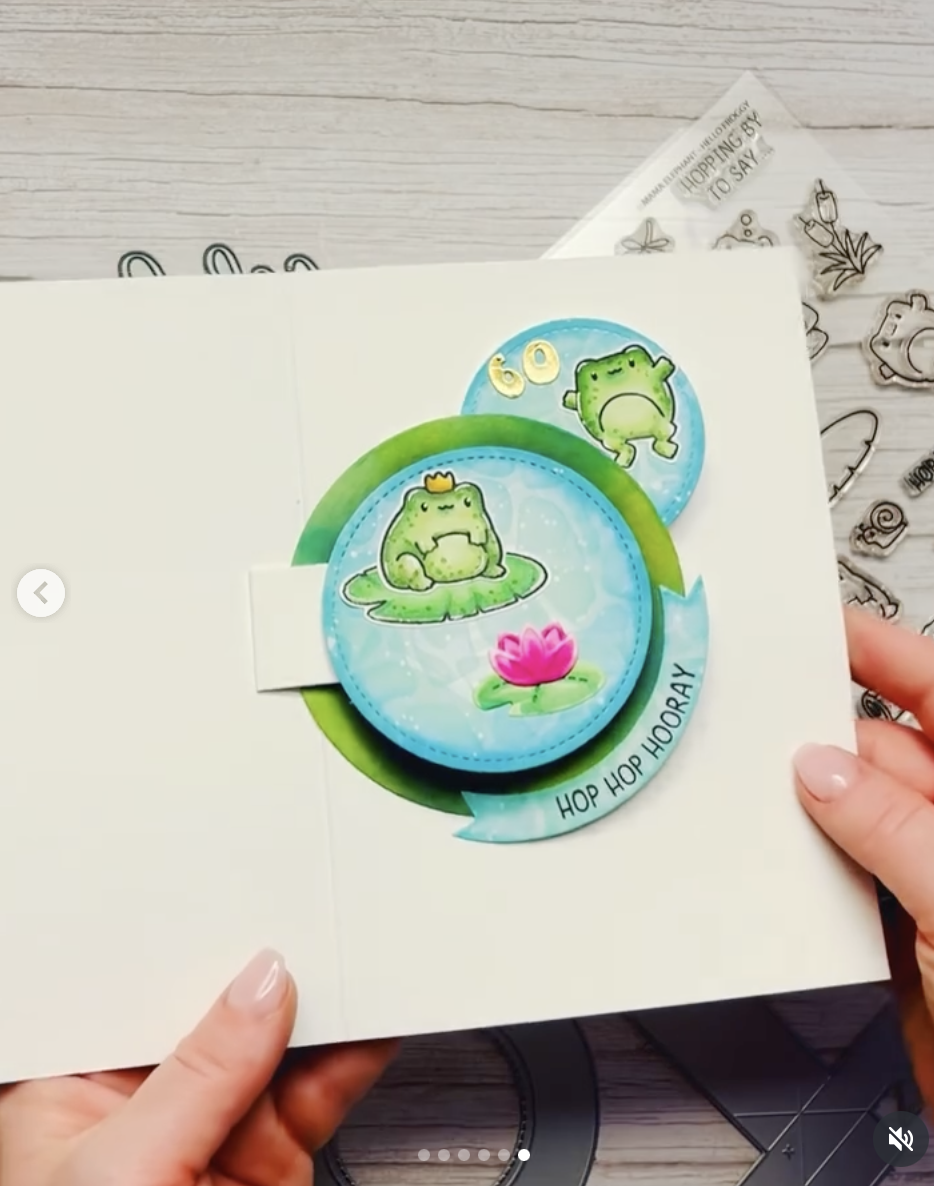 Hello Froggy Hello Froggy