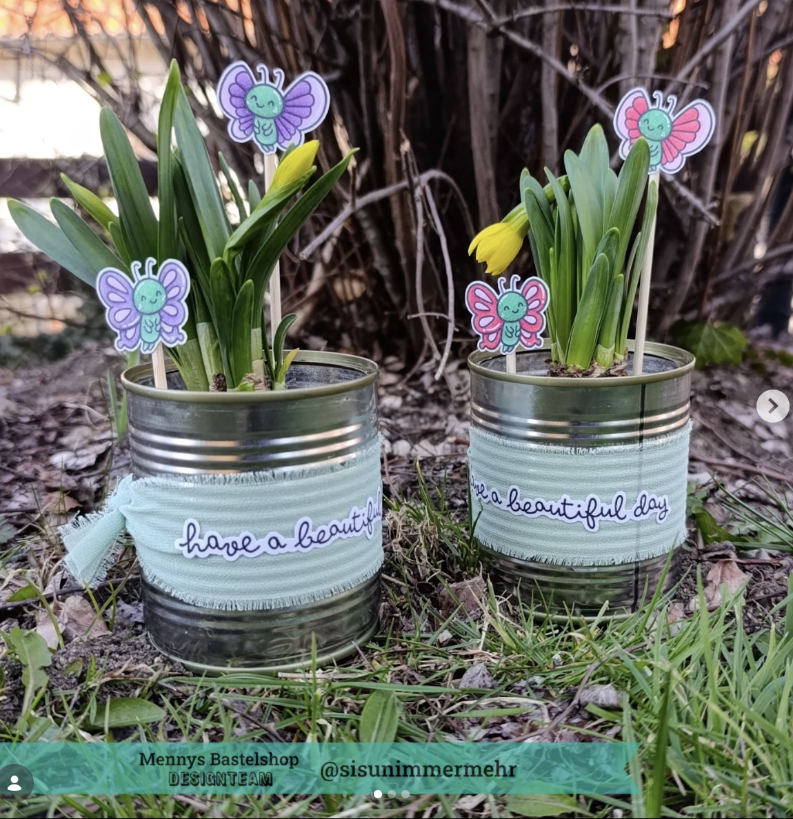 Butterfly Sketches Butterfly Sketches