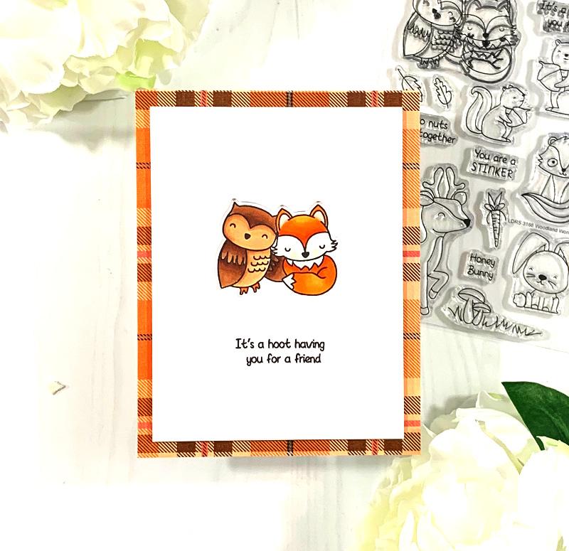 Woodland Wonderland Woodland Wonderland