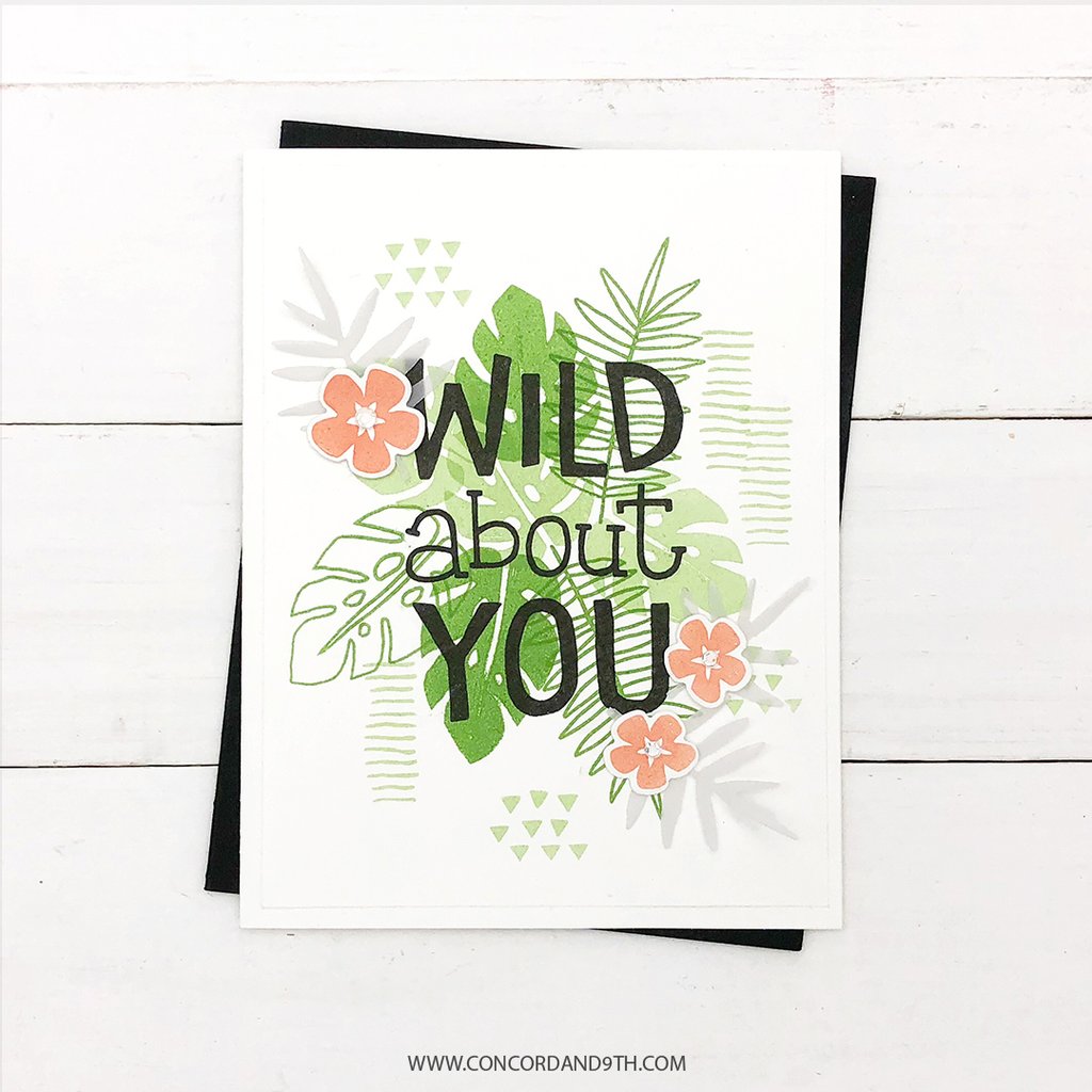 Toucan Paradise Toucan Paradise