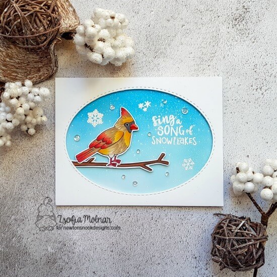 Winter Birds Winter Birds