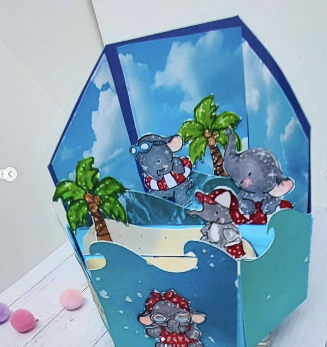 Summer Splash Summer Splash