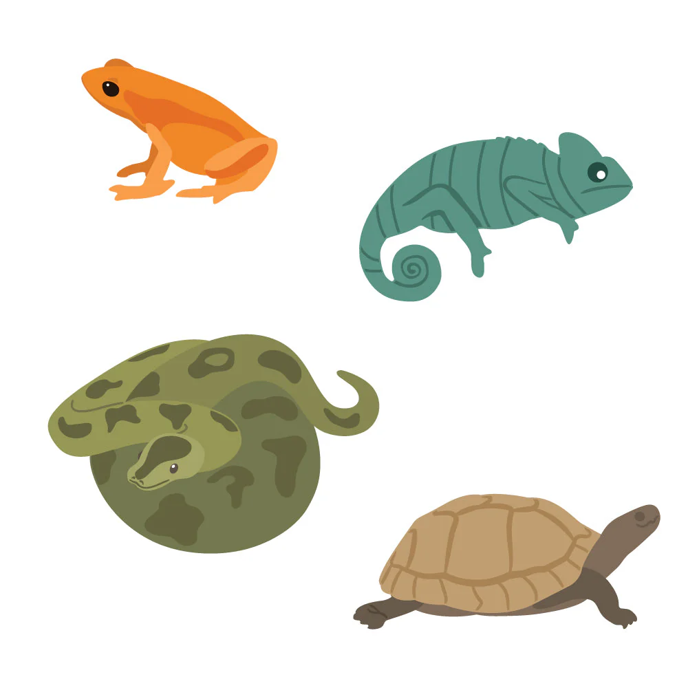 Curious Critters: Lovely Layers - Honey Cuts Curious Critters: Lovely Layers - Honey Cuts