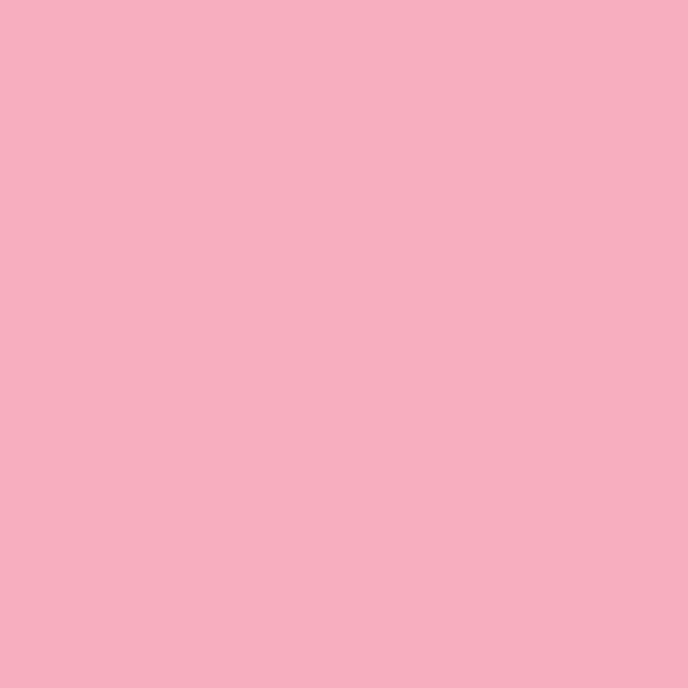 Pink Peony Pink Peony