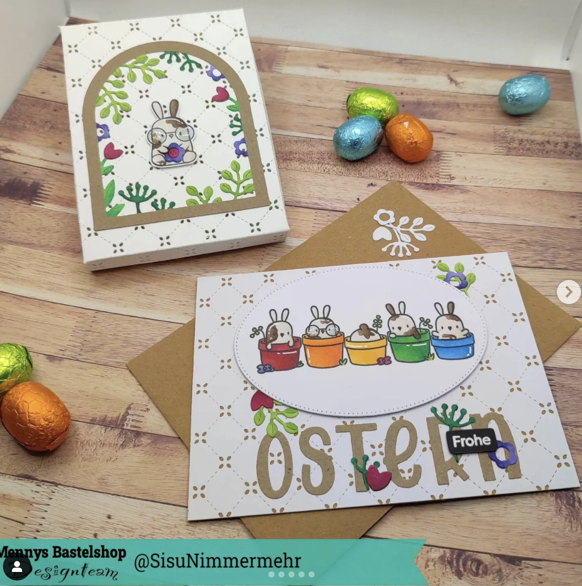 Hasen brauchen eine Brille