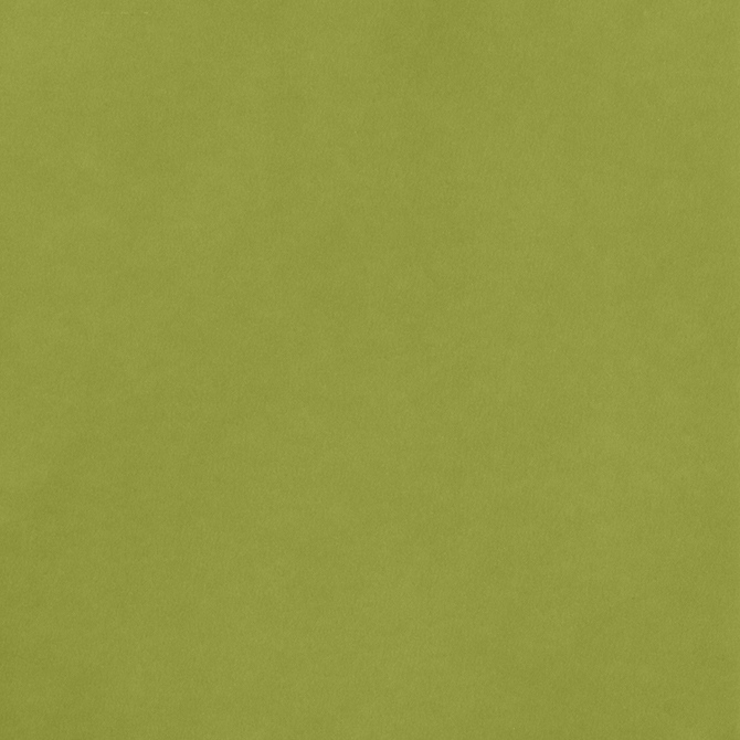 Leaf - Smooth Cardstock