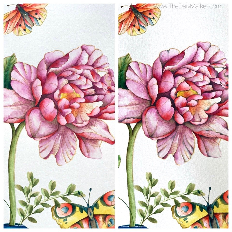 Blissful Butterflies - Big & Bold Blissful Butterflies - Big & Bold