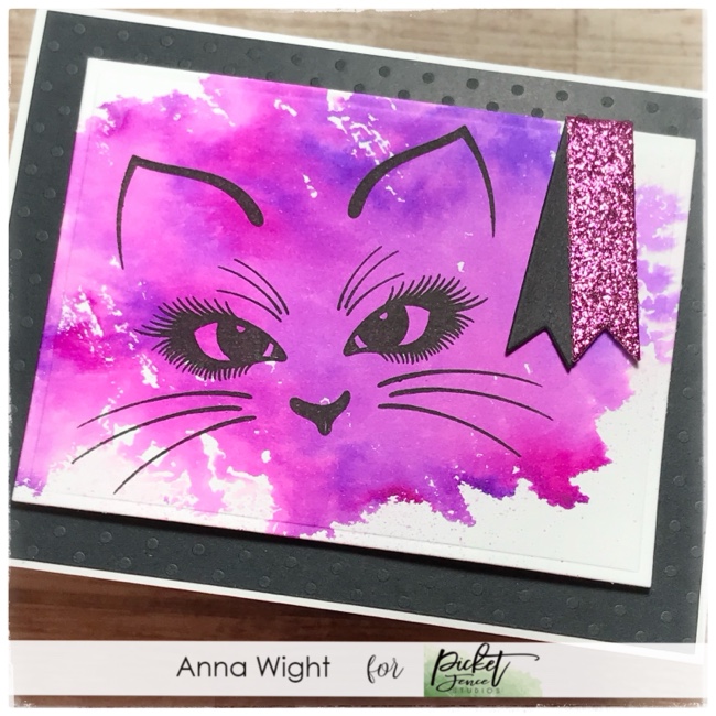 Sasha Kitten Sasha Kitten