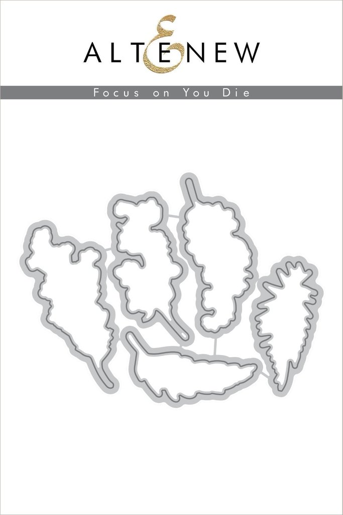 Focus on You - Die Set
