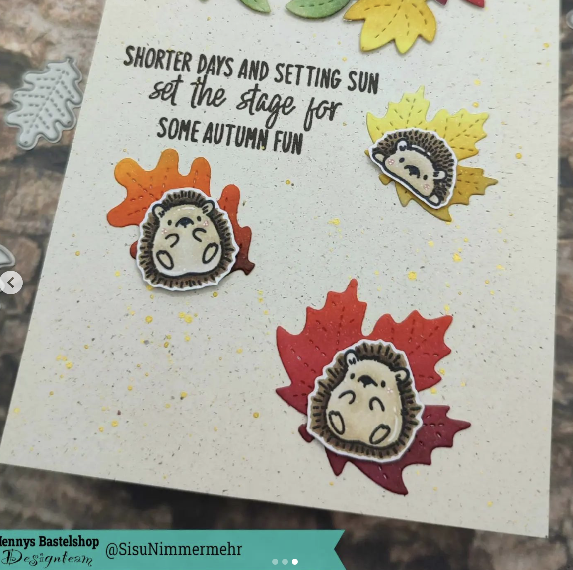 Hey Pumpkin und Little Hedgehog Agenda Hey Pumpkin und Little Hedgehog Agenda