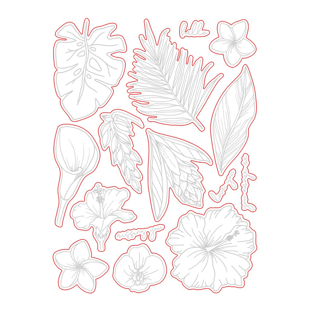 Paradise Blooms - Honey Cuts