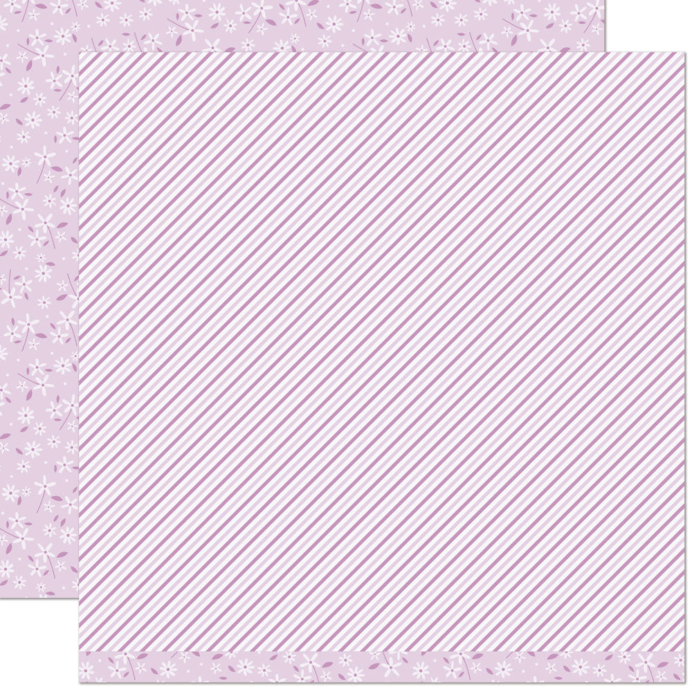 Lupine - Flower Market Lupine - Flower Market