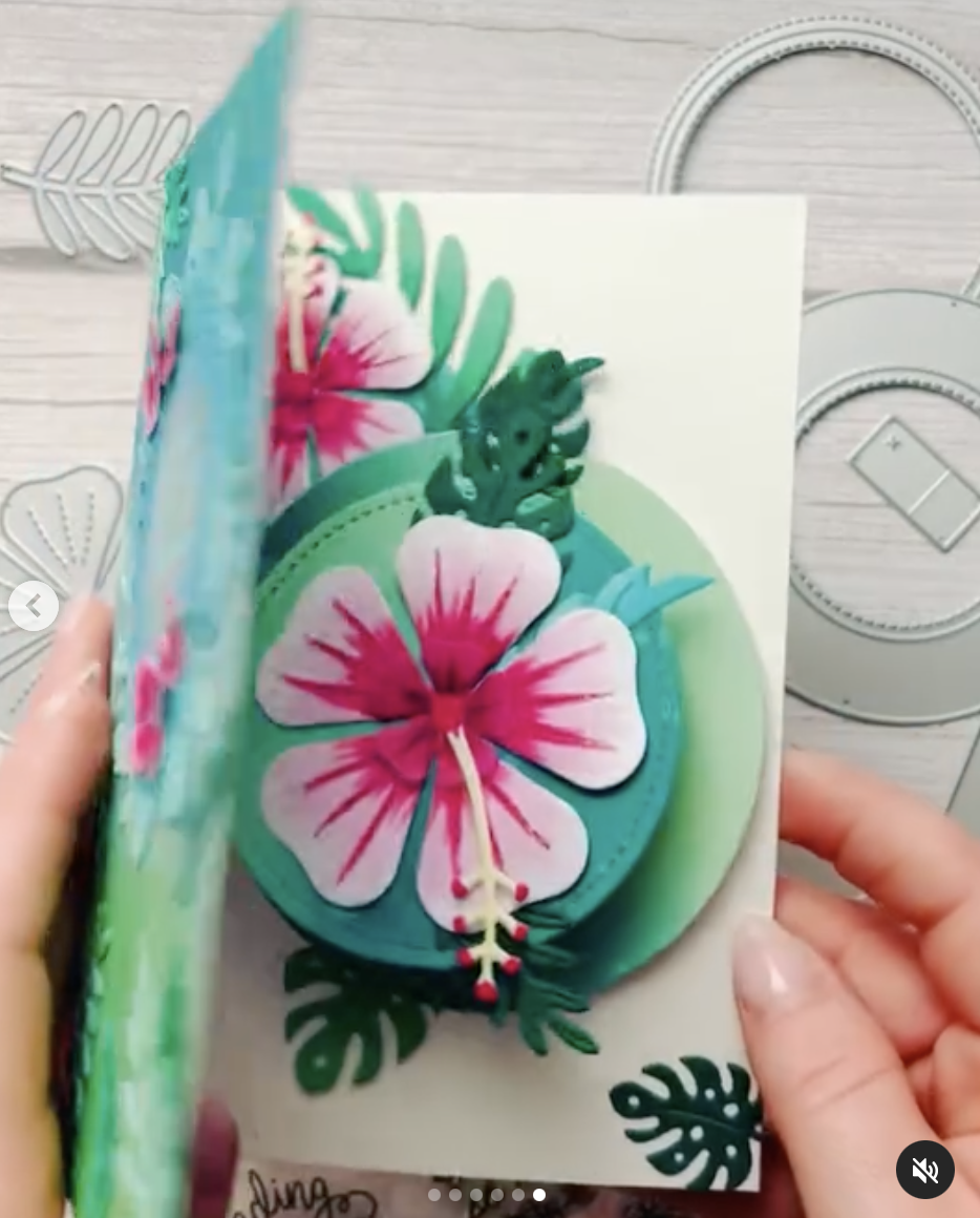 Swivel Surprise Swivel Surprise