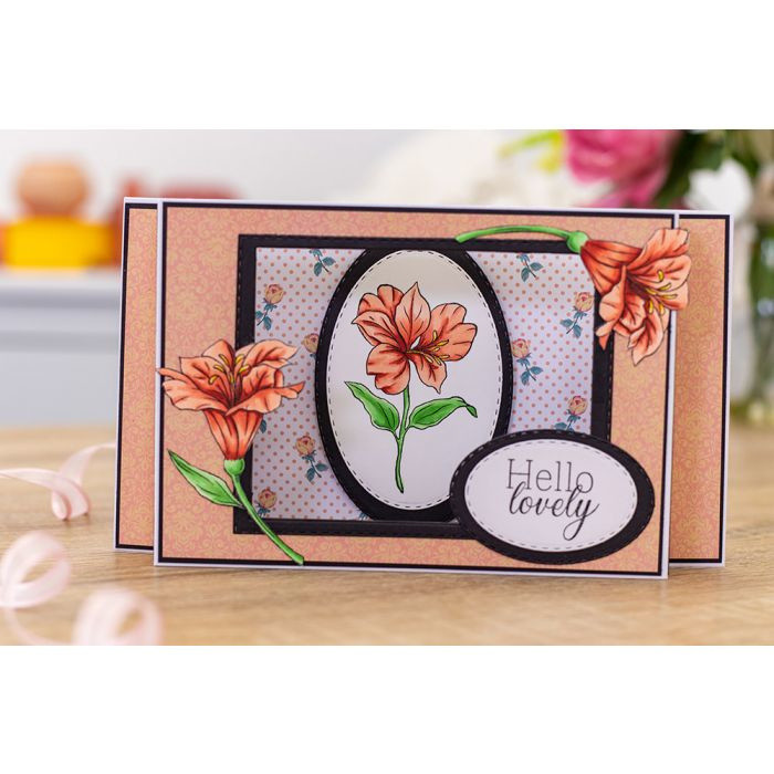 Hello Lovely Hello Lovely