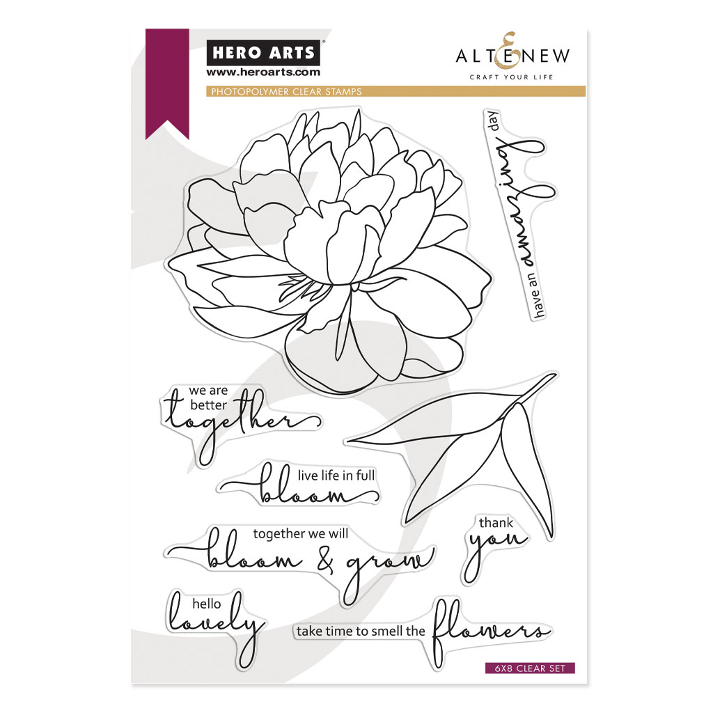 Bloom & Grow