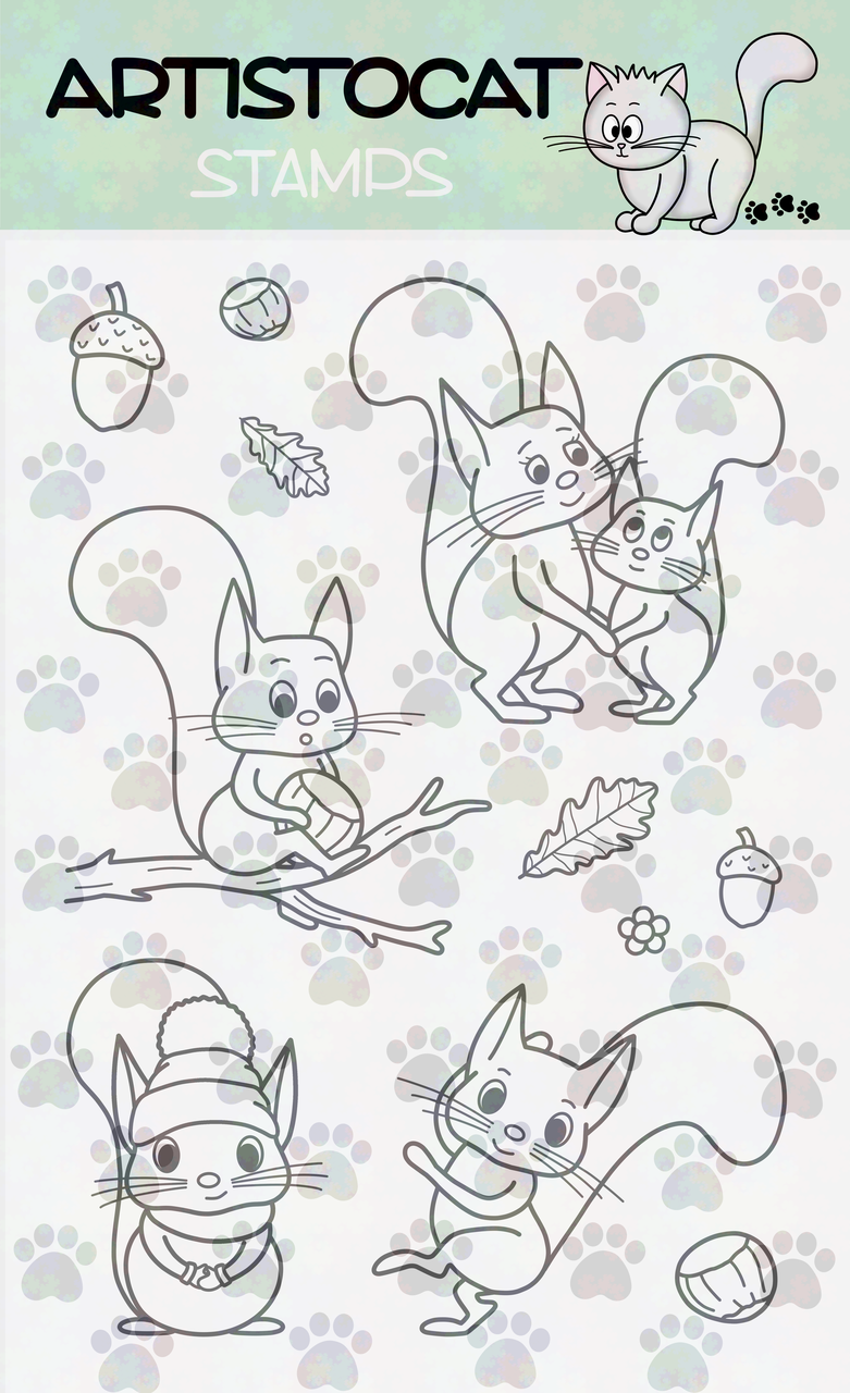 Eichhörnchen Eichhörnchen