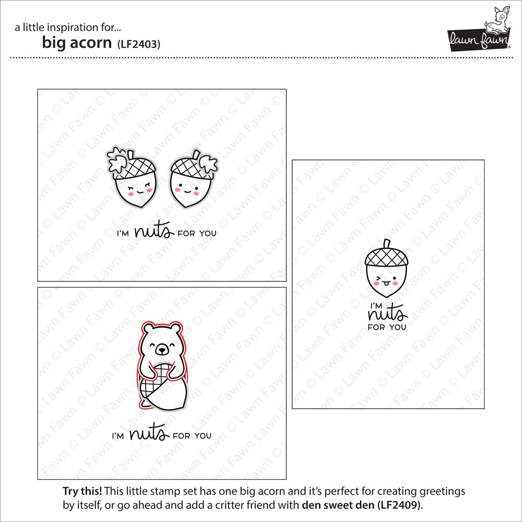 Big Acorn Big Acorn