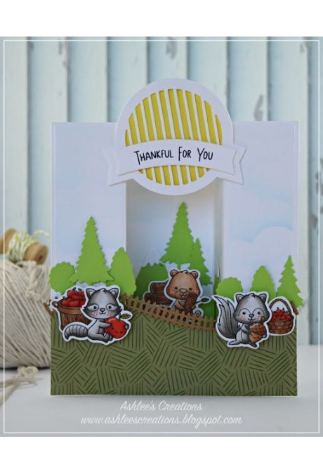 Autumn Animals Autumn Animals