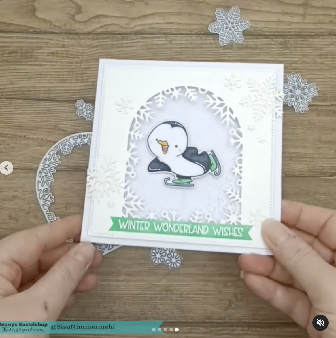 Pinguino Fronte Retro