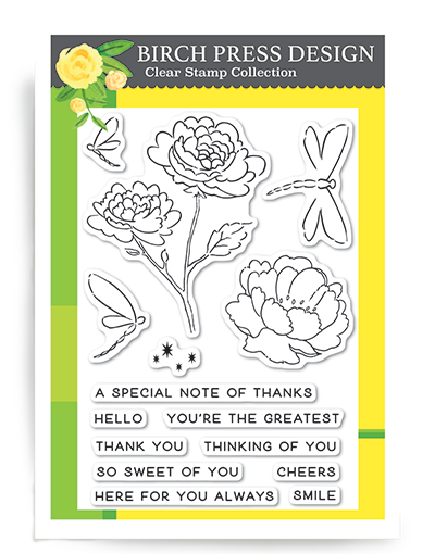 Dragonfly Greetings