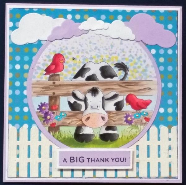 Hay, Whatzup, Buttercup