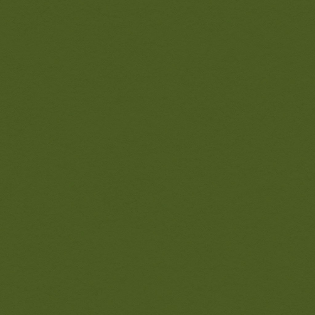 Holiday Green - Classic Cardstock - My Mind´s Eye