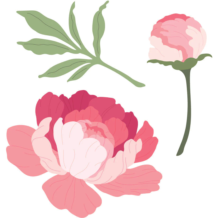 Lovely Layers: Peony - Honey Cuts