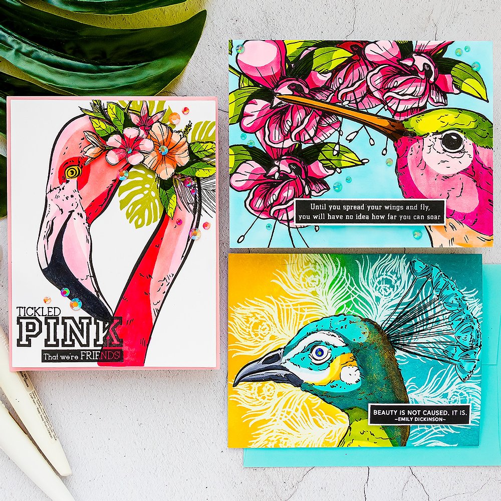 Hummingbird Delight - Big & Bold