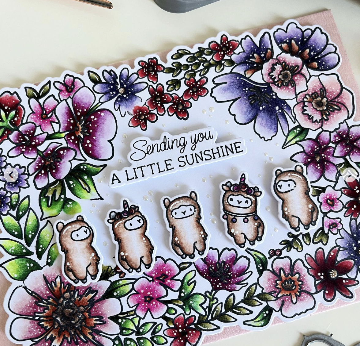 Blumen und kein Drama Blumen und kein Drama