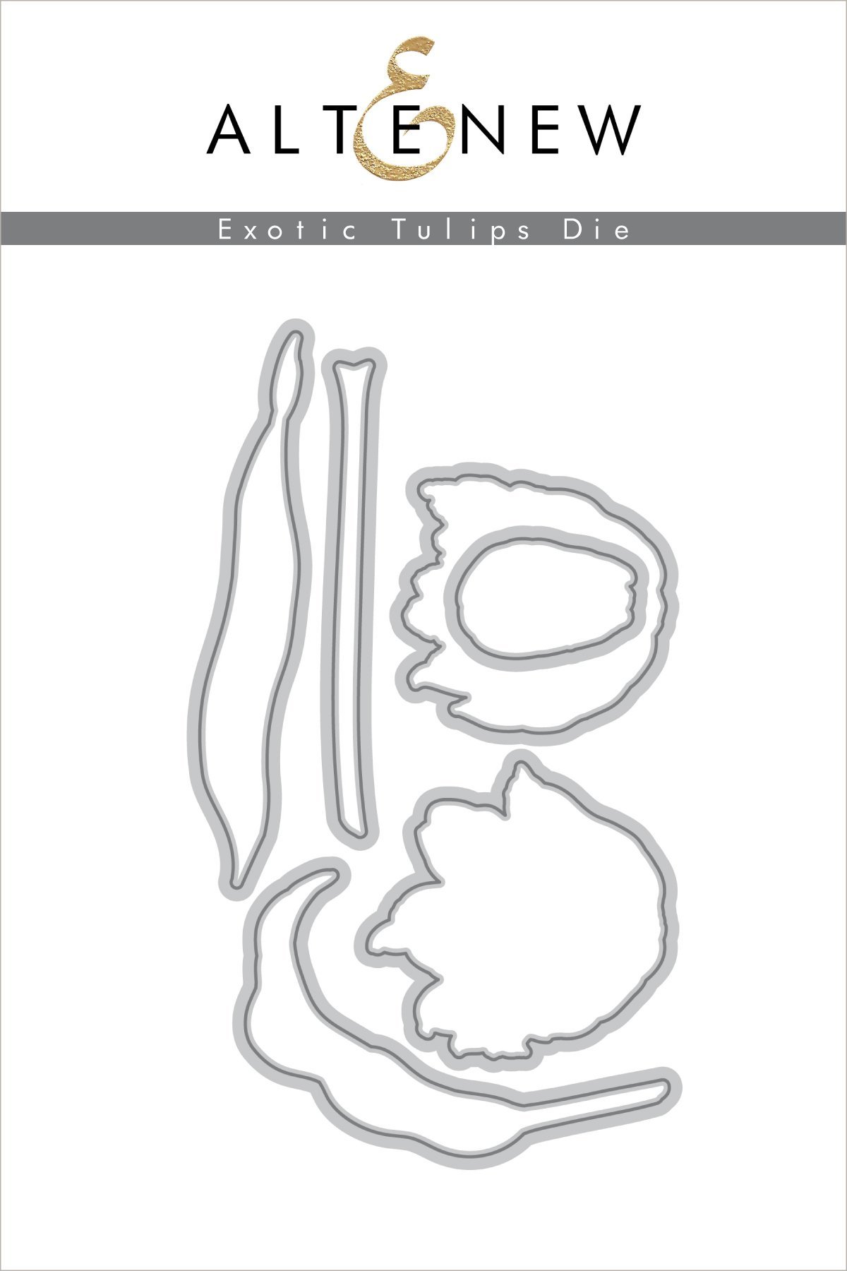 Exotic Tulips - Die Set