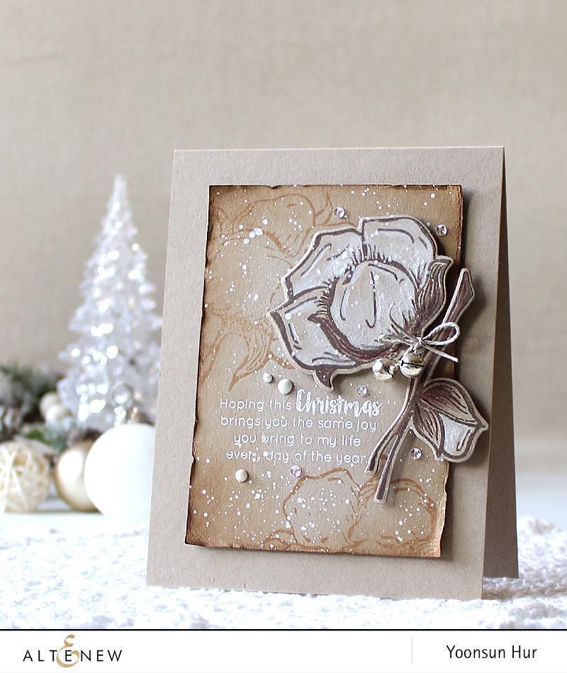 Cotton Comfort Cotton Comfort