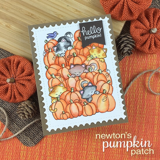 Newton's Pumpkin Patch Newton's Pumpkin Patch