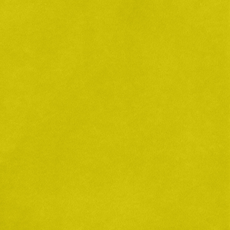 Smooth Cardstock - Kale