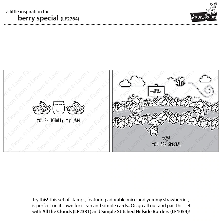 berry special berry special