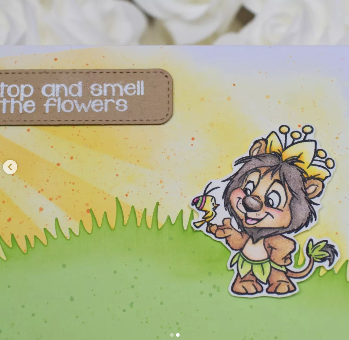 Potted Animals CC Designs Potted Animals CC Designs