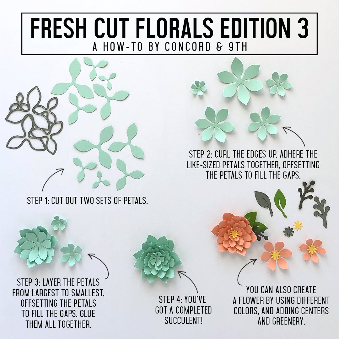 Fresh Cut Florals Dies Editions 3