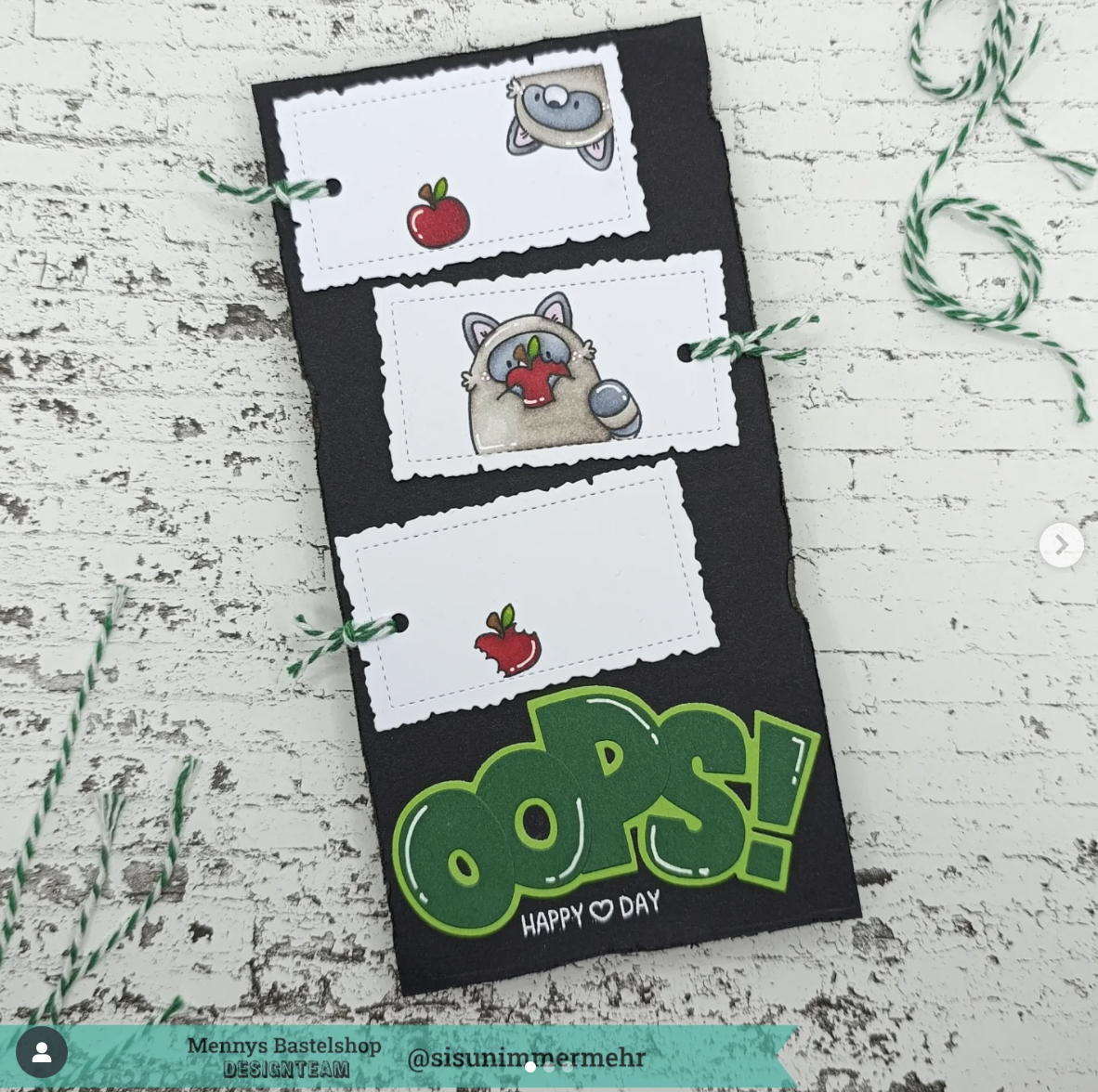 Playful Raccoons Playful Raccoons