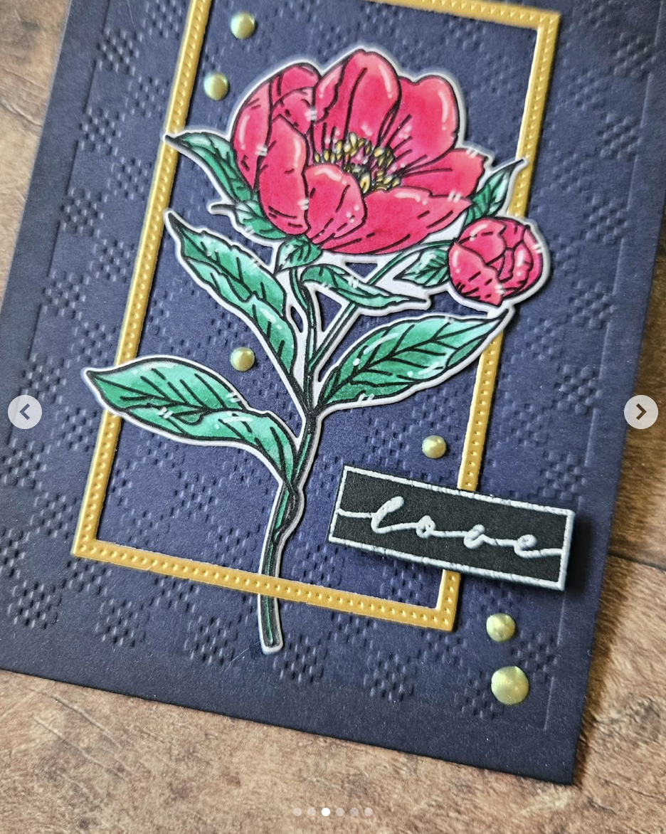 Peony - September Birth Flower Peony - September Birth Flower