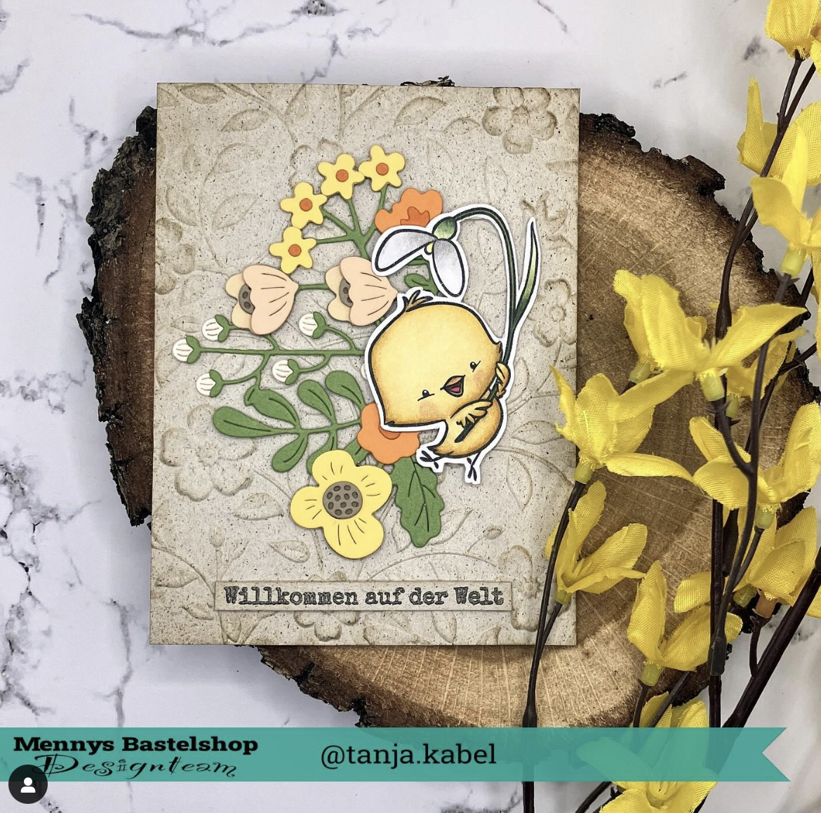 Baby Chick Baby Chick