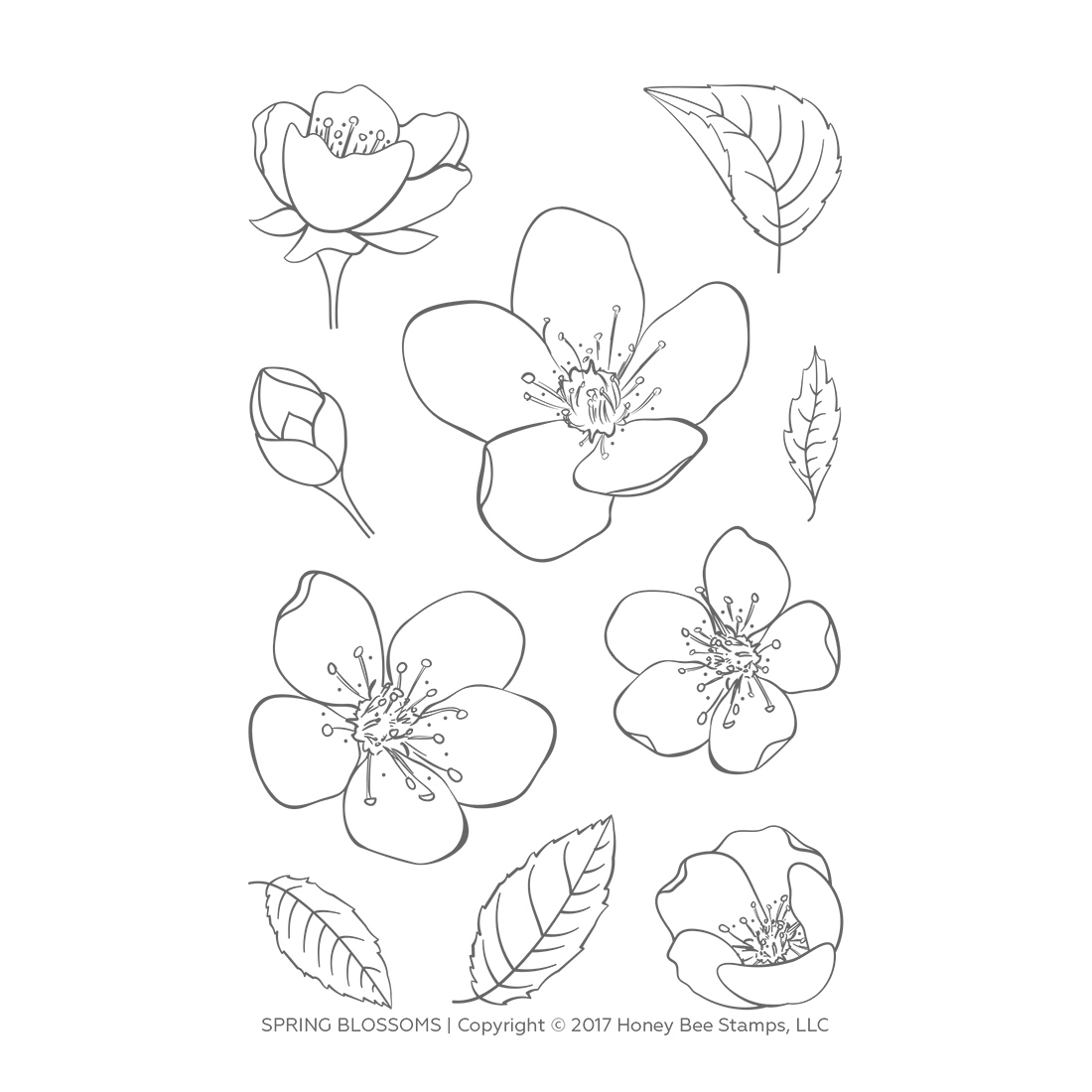 Spring Blossoms Spring Blossoms