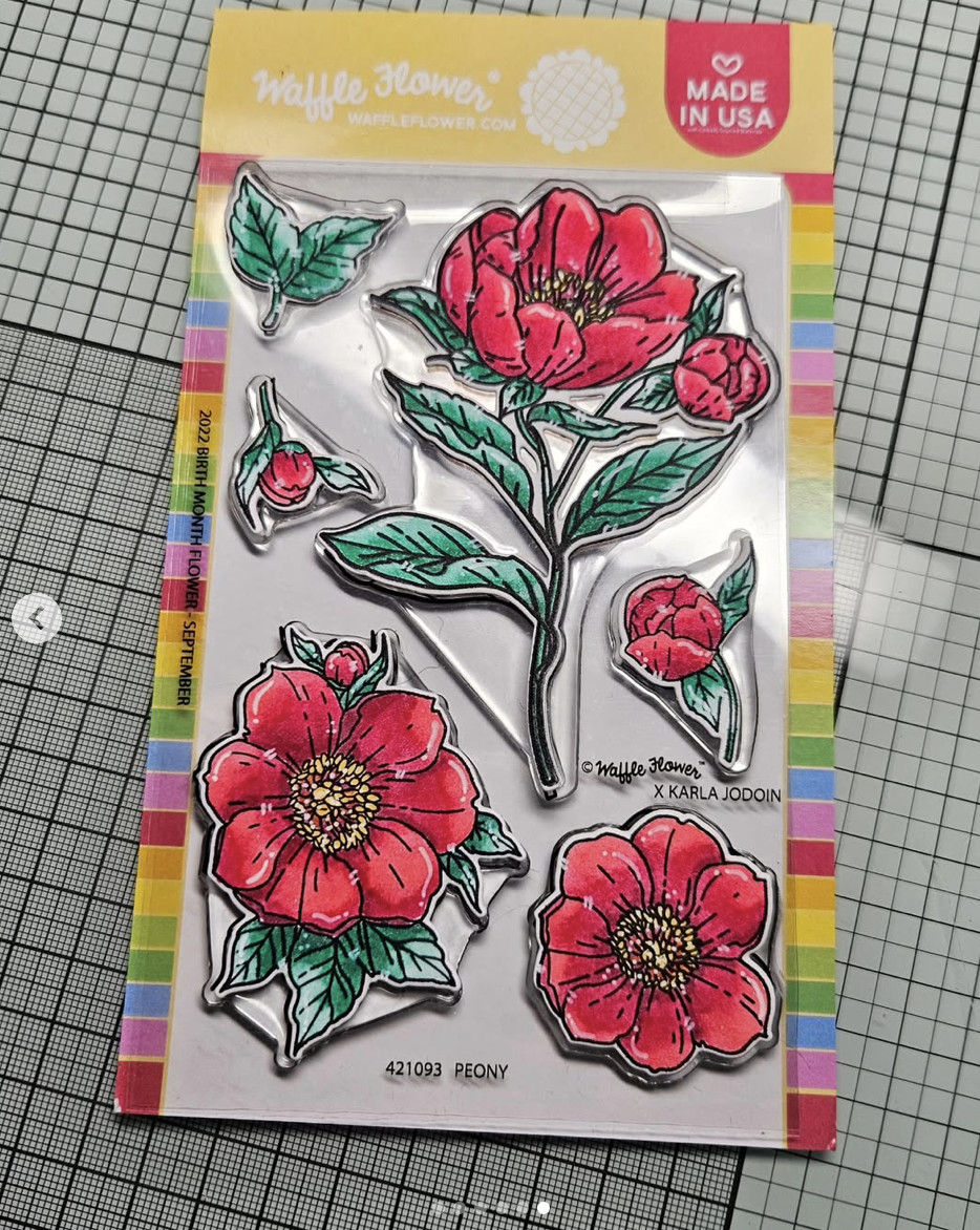 Peony - September Birth Flower Peony - September Birth Flower