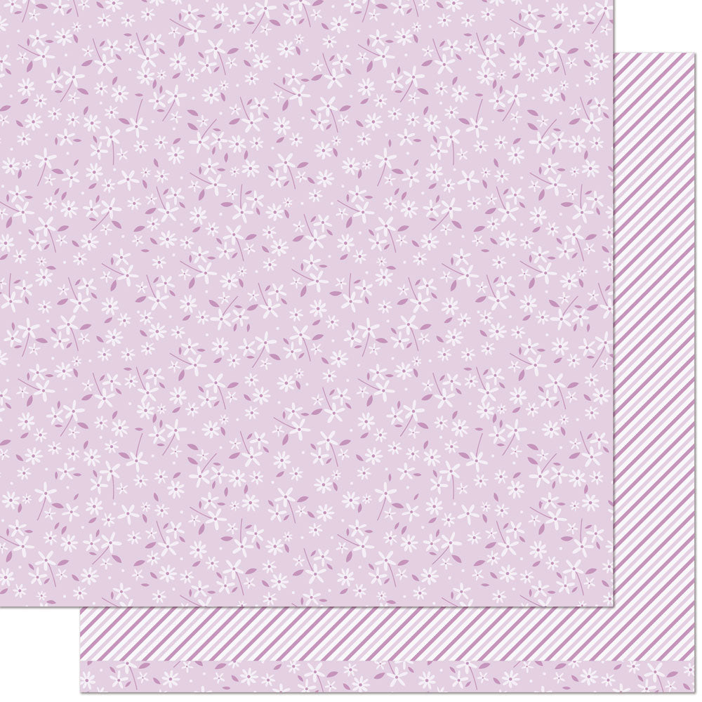 Lupine - Flower Market