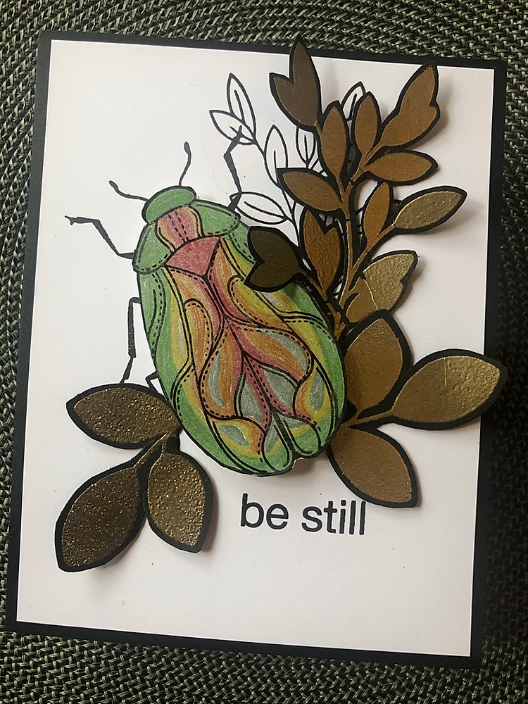 Brilliant Beetle - Big & Bold Brilliant Beetle - Big & Bold