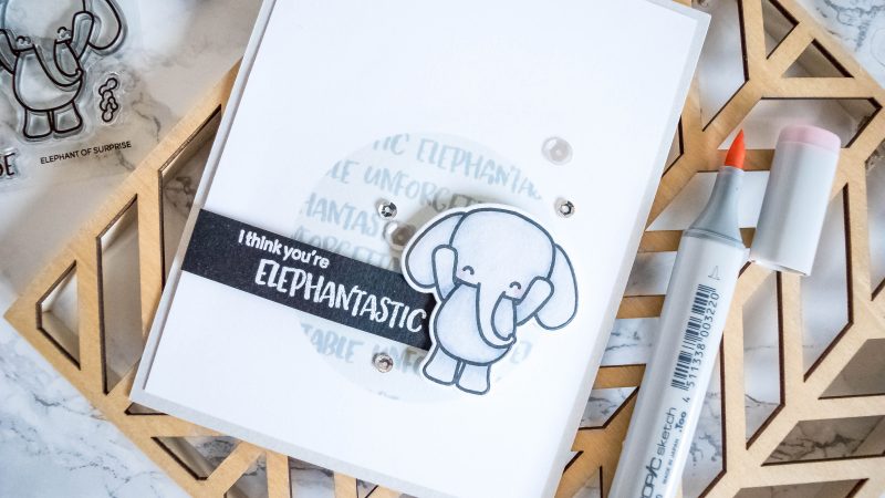 Elephant of Surprise - Heffy Cuts Elephant of Surprise - Heffy Cuts