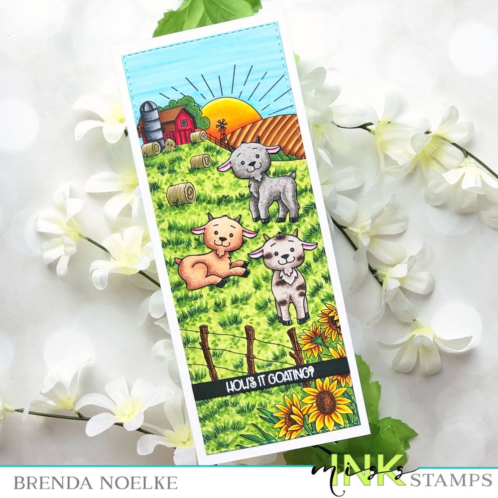 Punny Farm Goats Punny Farm Goats