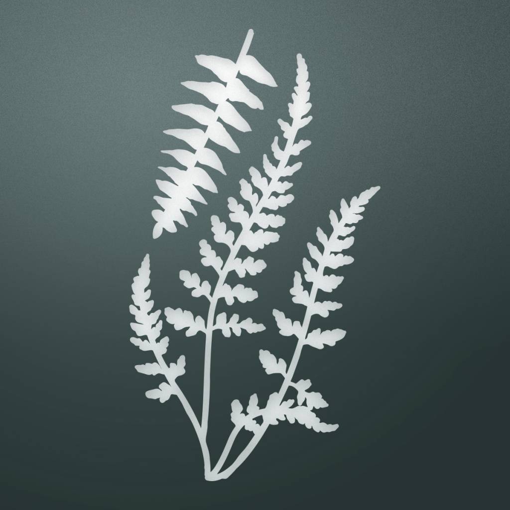 Couture Creations C'est La Vie Decorative Die Set - Collection of Ferns Couture Creations C'est La Vie Decorative Die Set - Collection of Ferns